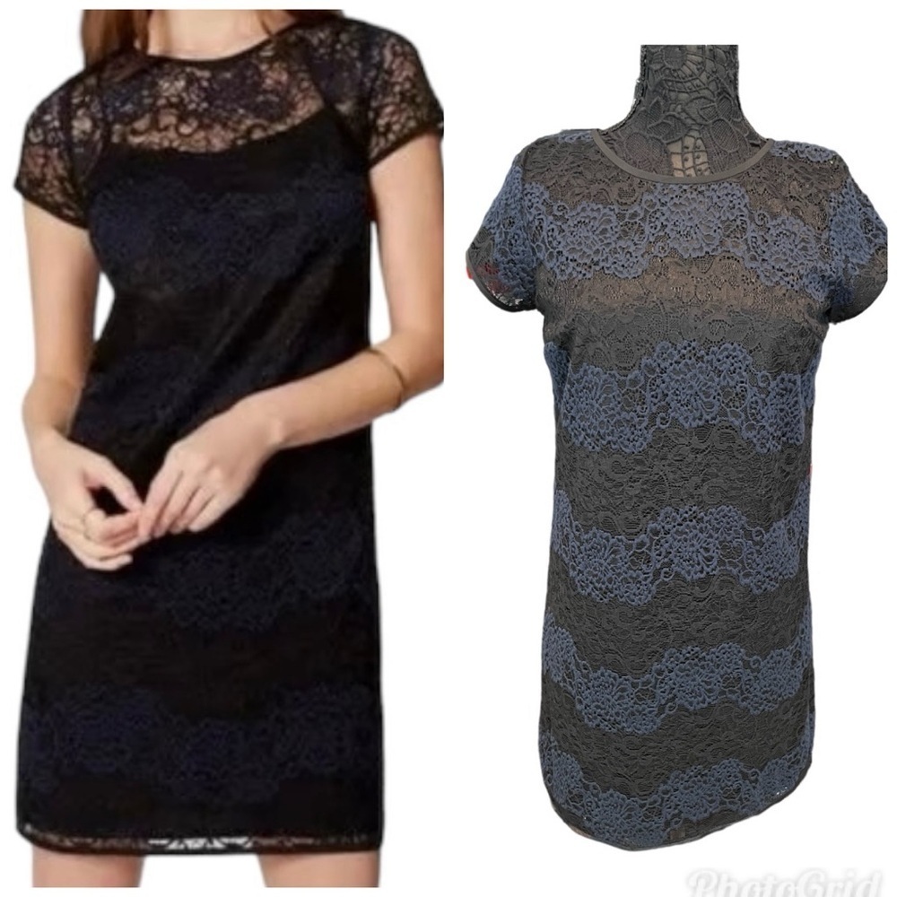 NWT Ann Taylor Loft Blue and Black Lace Shift Dress Sz 6